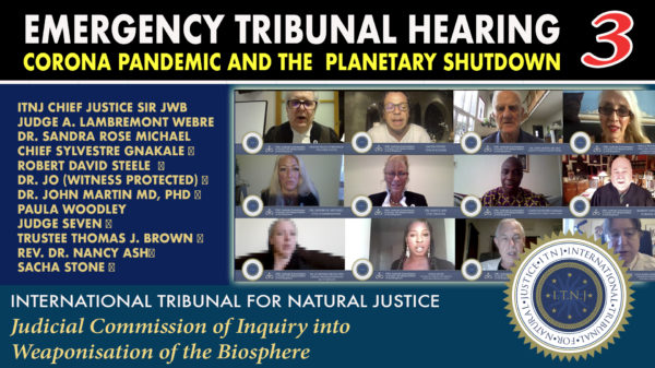 Emergency-Tribunal-Hearing-Corona-Pandemic-and-the-Planetary-Shutdown-2020-04-13-3rd-seating